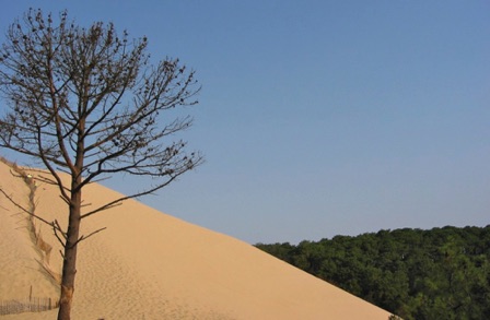 Francia - Duna du Pyla Francia - Duna du Pyla